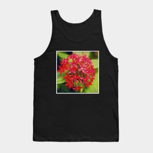 Pretty Red Flower with green leaves nature lovers beautiful photography design Tank Top